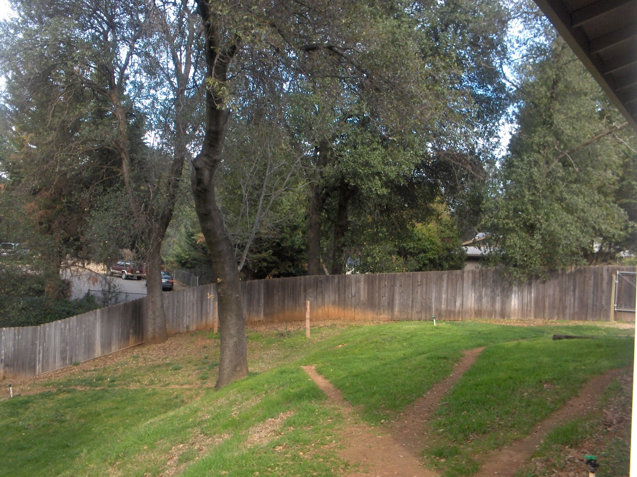 1194 Echo Road Redding, CA 96002 - Photo 6 of 17 a backyard of a house with lots of green space