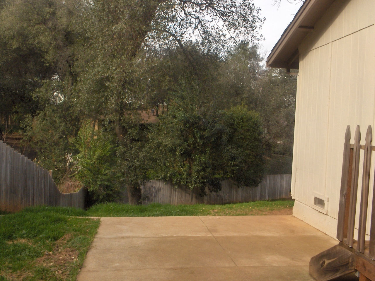1194 Echo Road Redding, CA 96002 - Photo 7 of 17 a view of a yard with a tree