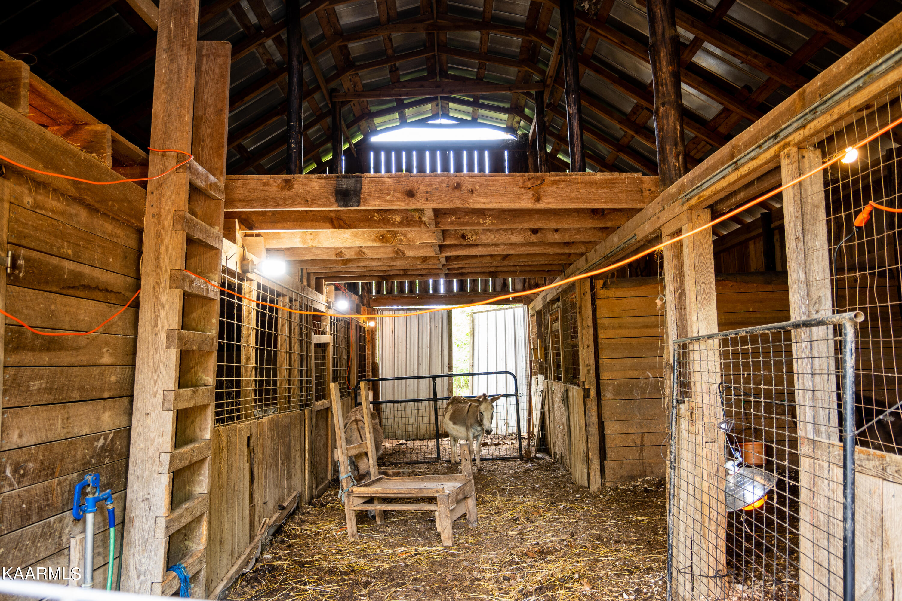 575 Branch Road Blaine, TN 37709 - Photo 24 of 27 EDITED_RE_PHOTOS-34