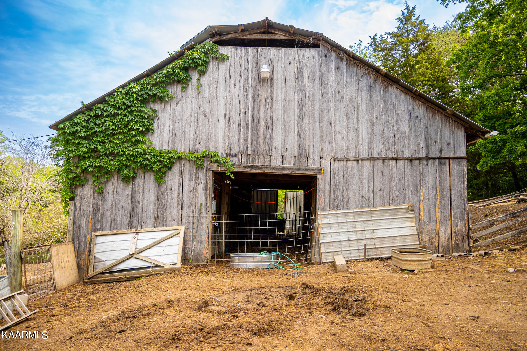 575 Branch Road Blaine, TN 37709 - Photo 5 of 27 Blaine_farmhouse_JPGsmall-27