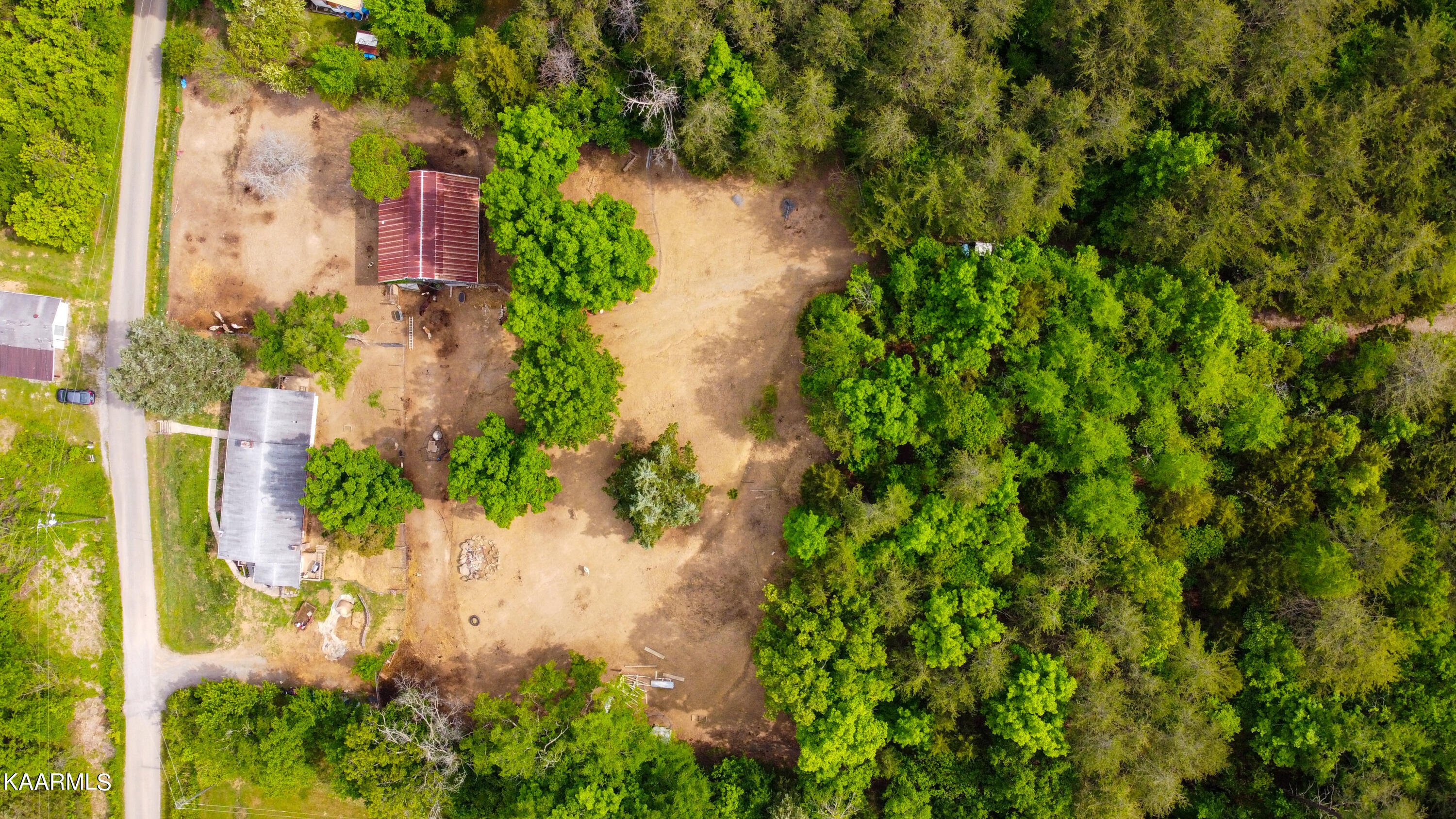 575 Branch Road Blaine, TN 37709 - Photo 8 of 27 EDITED_RE_PHOTOS-37