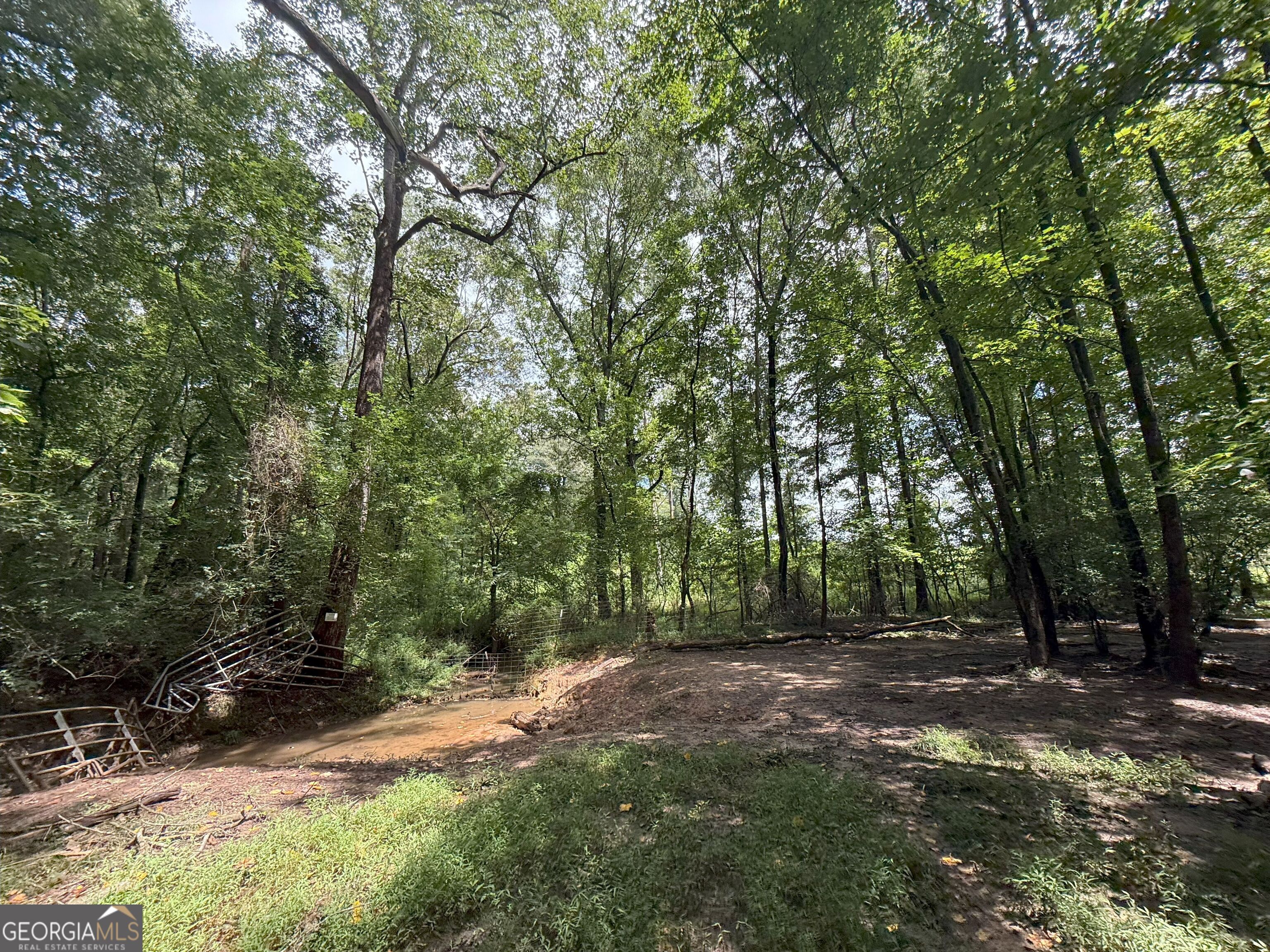 9 Red Rose Court Nicholson, GA 30565 - Photo 15 of 55 a view of backyard with green space