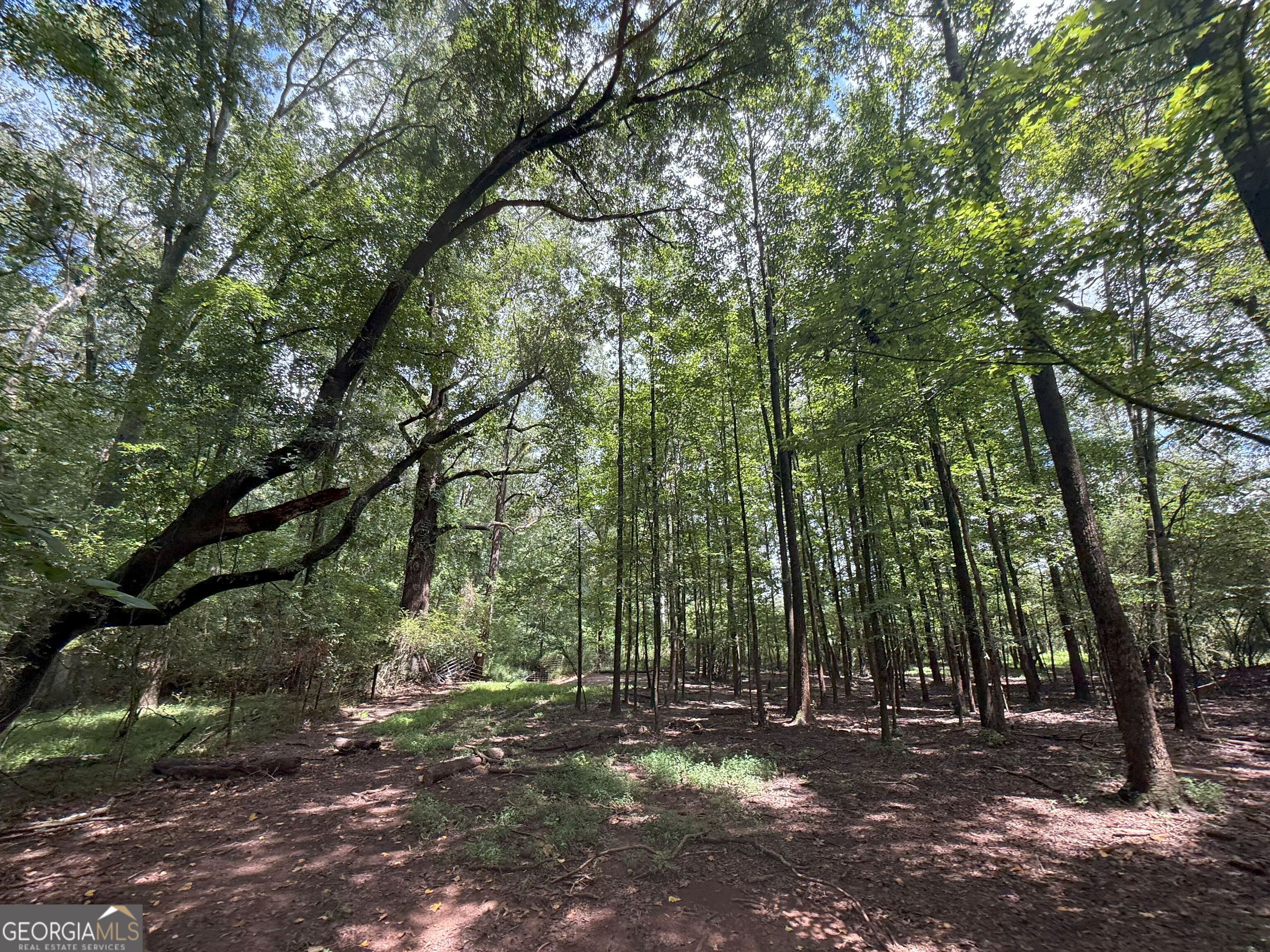 9 Red Rose Court Nicholson, GA 30565 - Photo 16 of 55 a view of outdoor space with lots of trees
