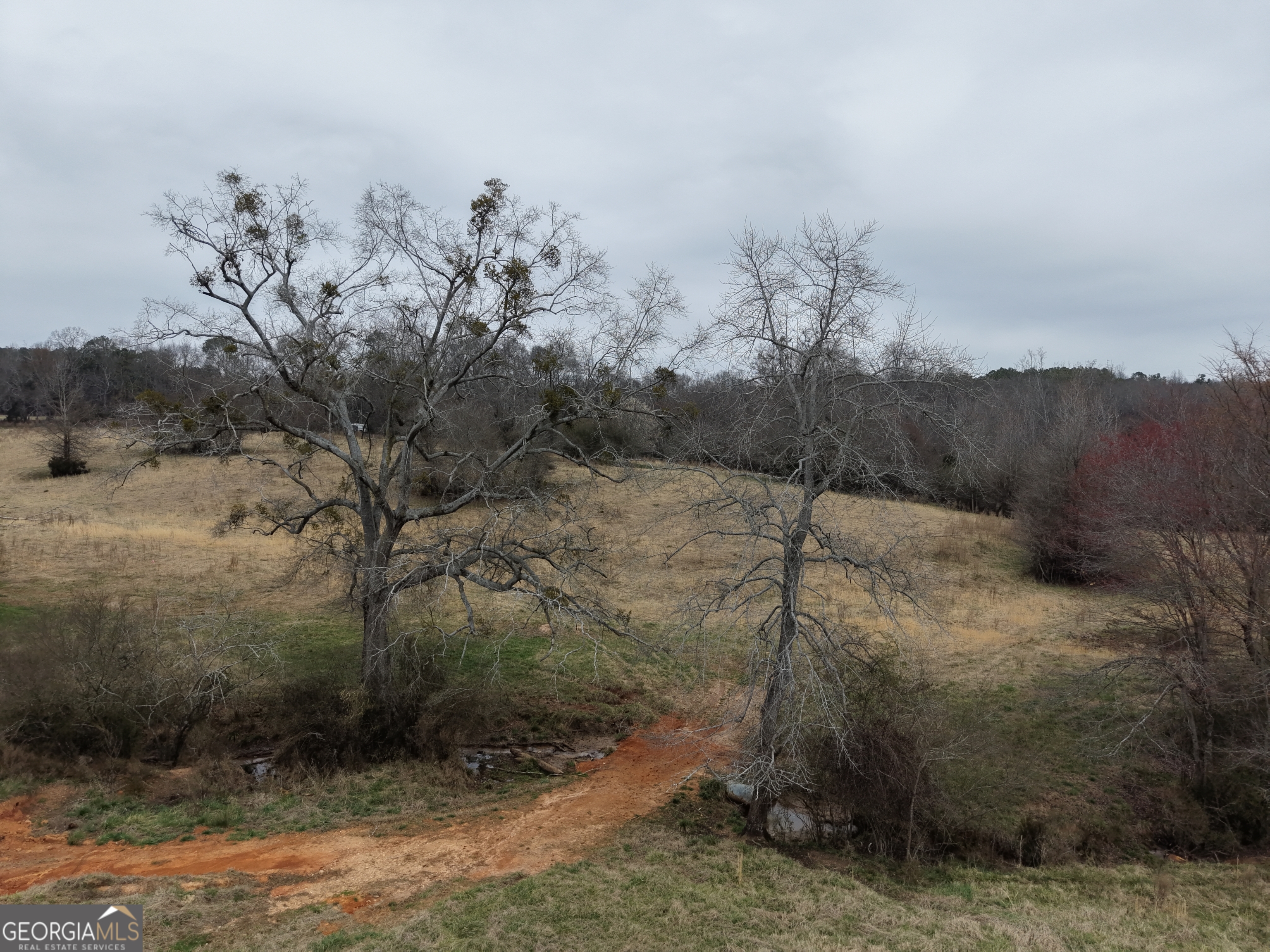 9 Red Rose Court Nicholson, GA 30565 - Photo 39 of 55