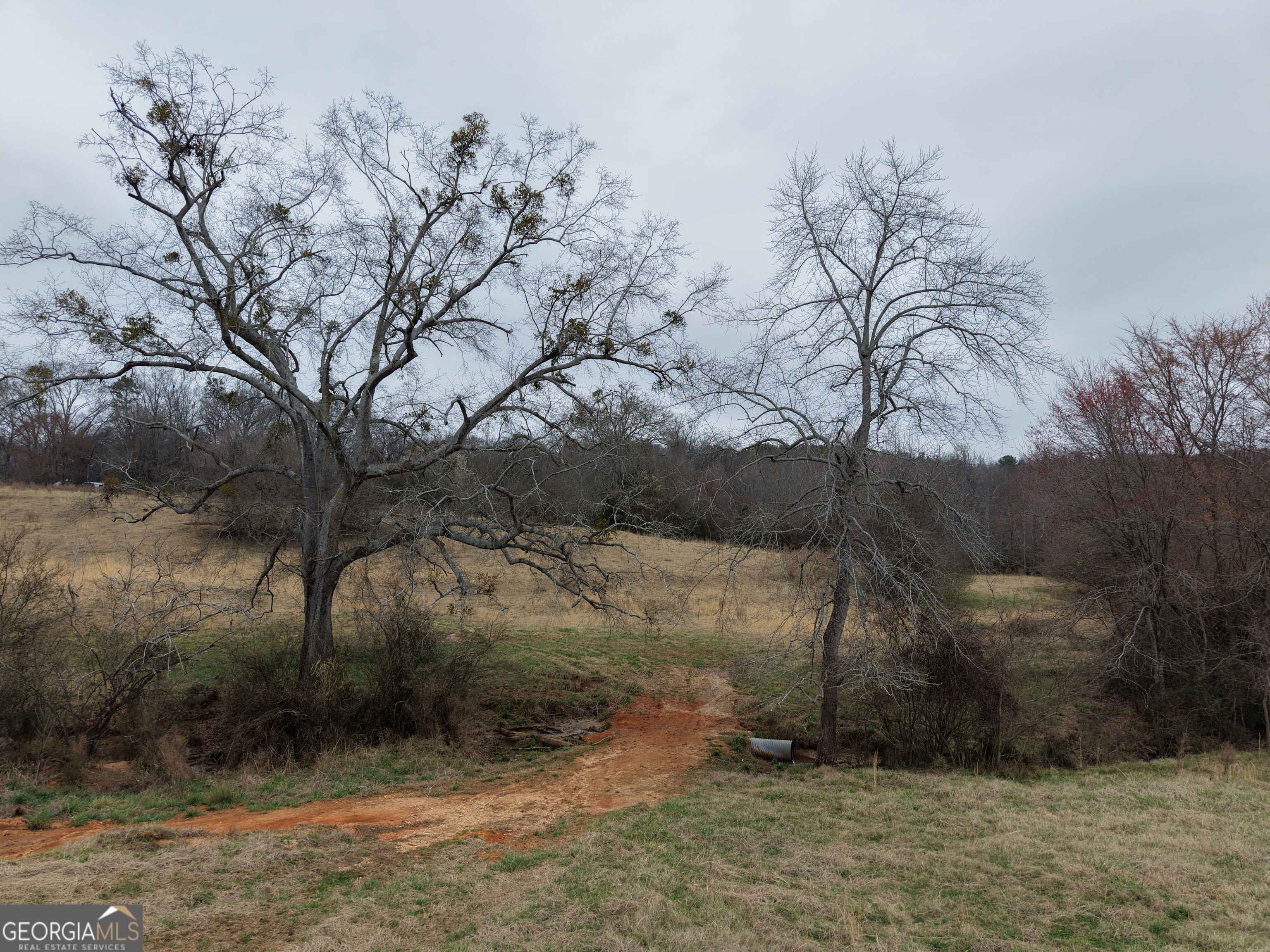 9 Red Rose Court Nicholson, GA 30565 - Photo 44 of 55 a view of a dry yard with trees