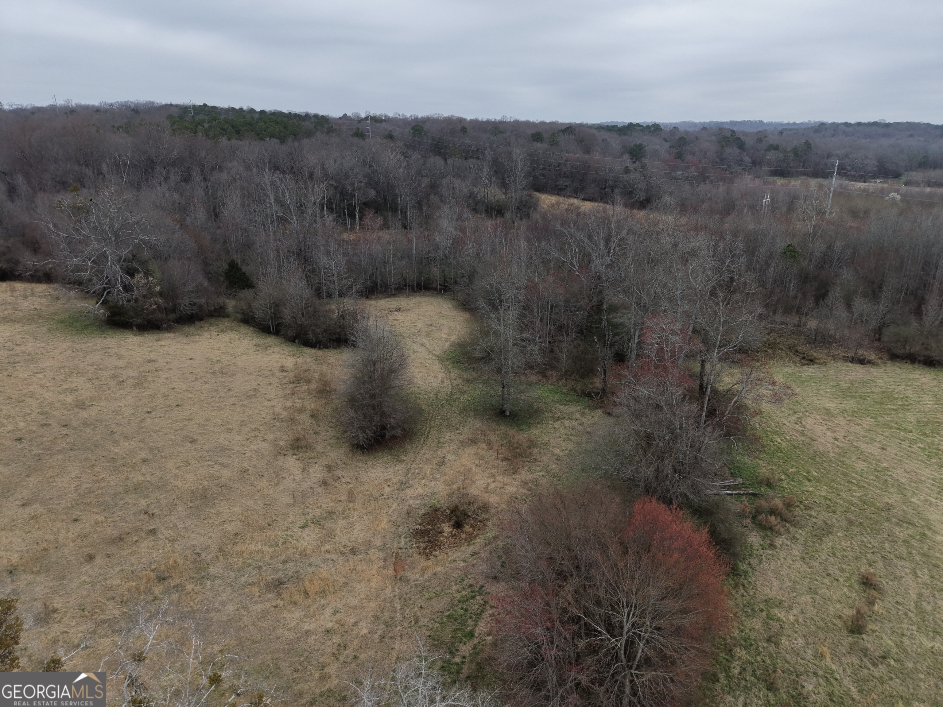 9 Red Rose Court Nicholson, GA 30565 - Photo 45 of 55 a view of a dry yard with green space