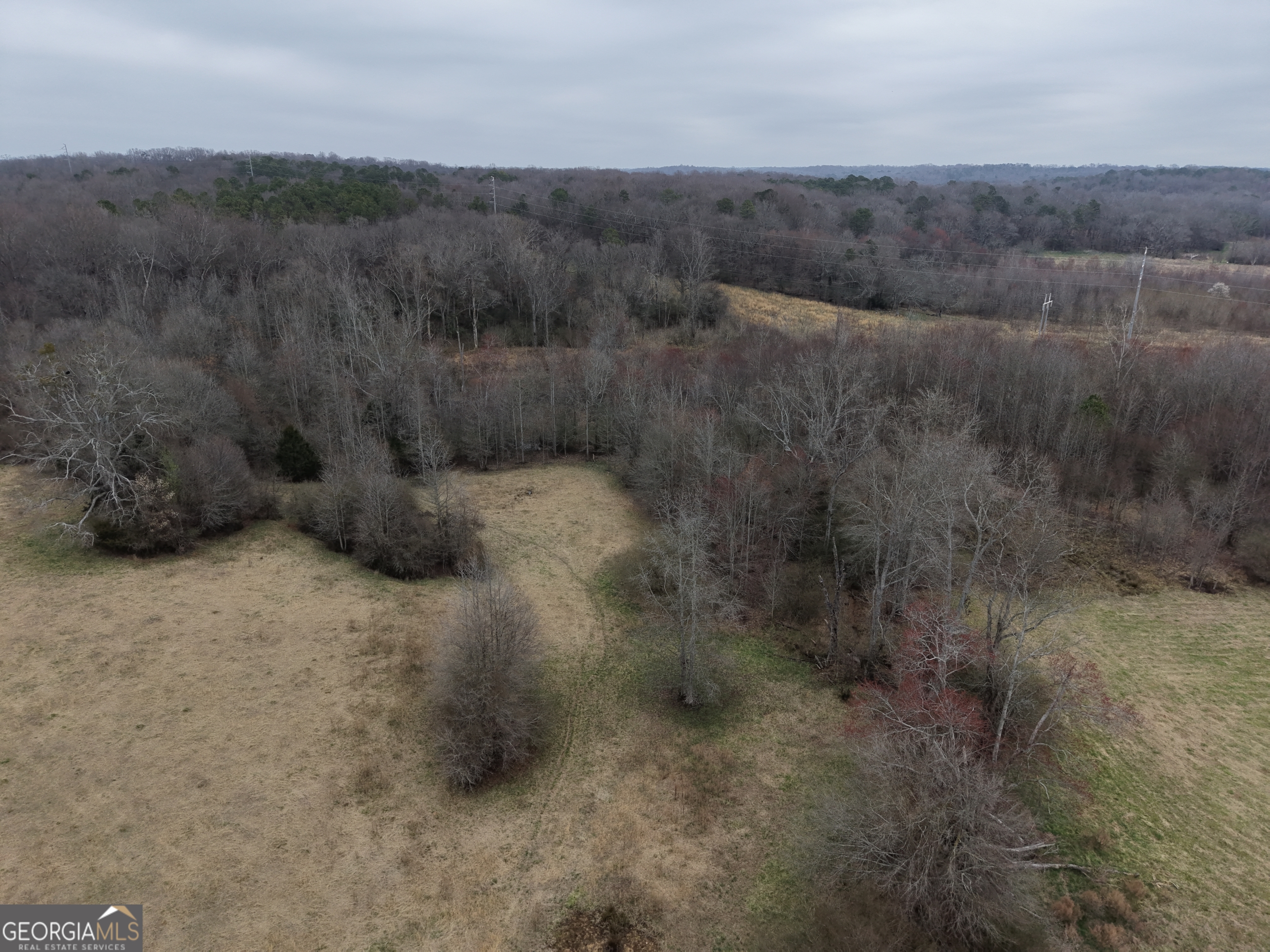 9 Red Rose Court Nicholson, GA 30565 - Photo 47 of 55 a view of a dry field