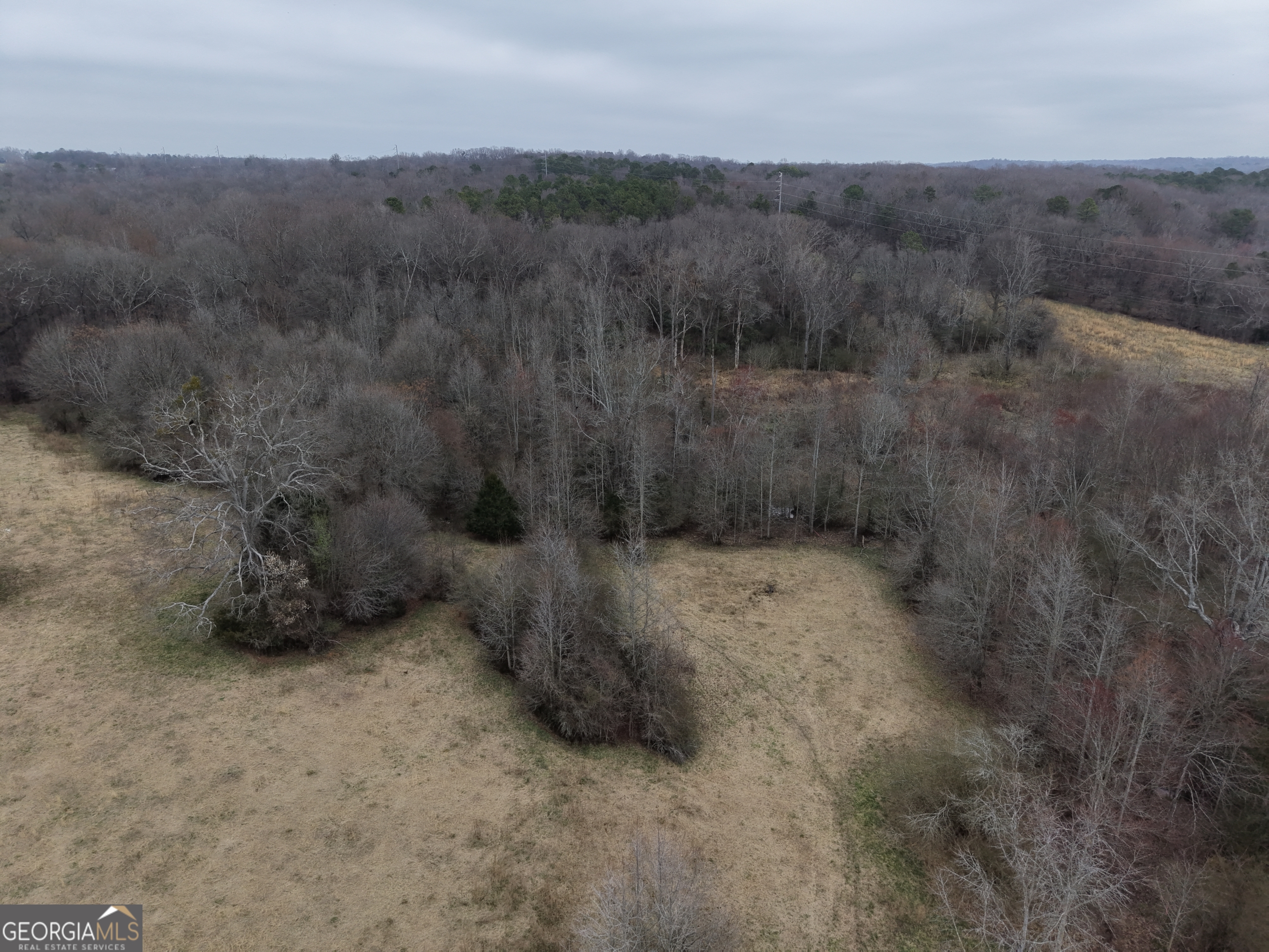 9 Red Rose Court Nicholson, GA 30565 - Photo 48 of 55 a view of a dry yard