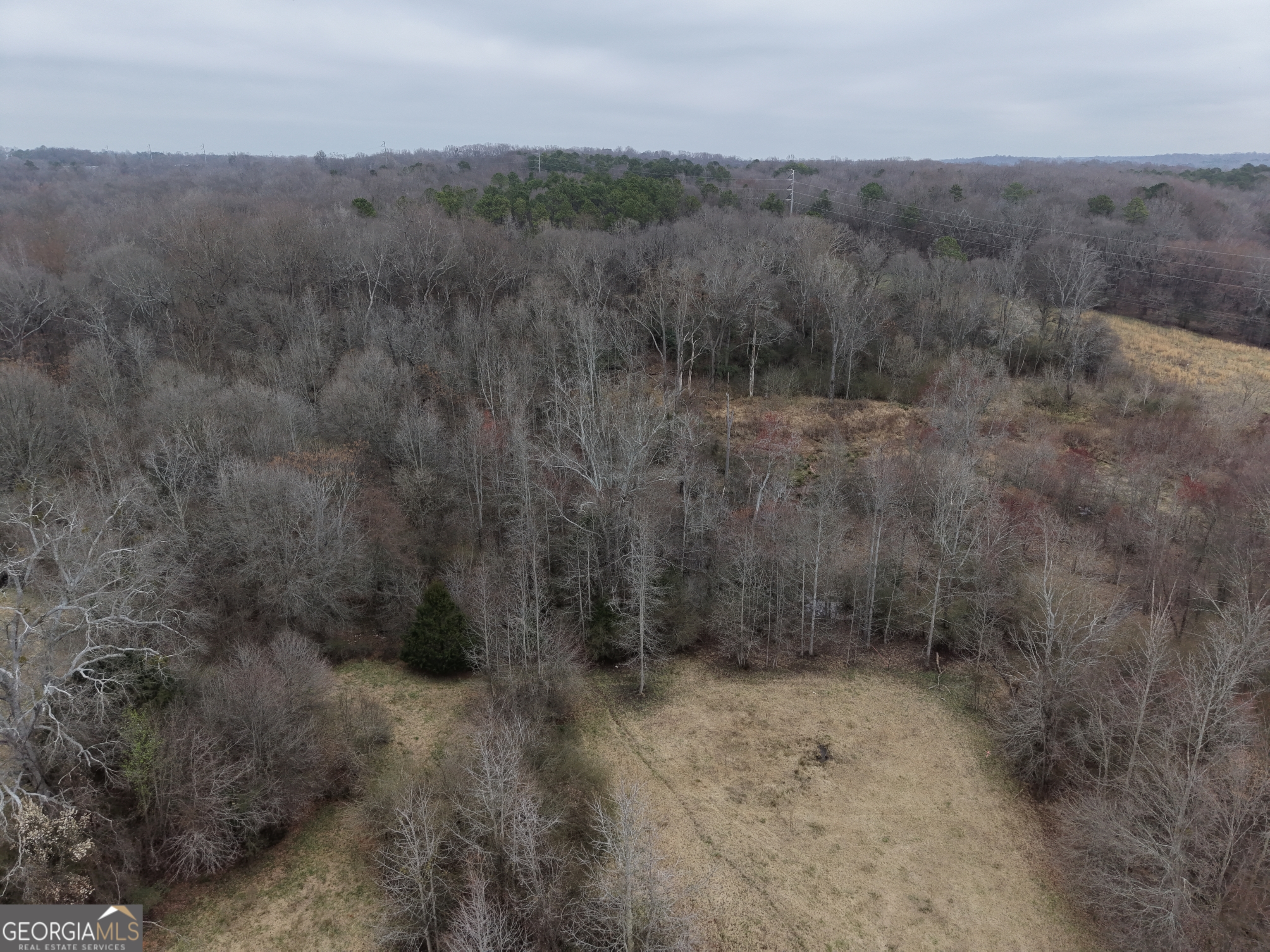 9 Red Rose Court Nicholson, GA 30565 - Photo 49 of 55 a view of a dry yard