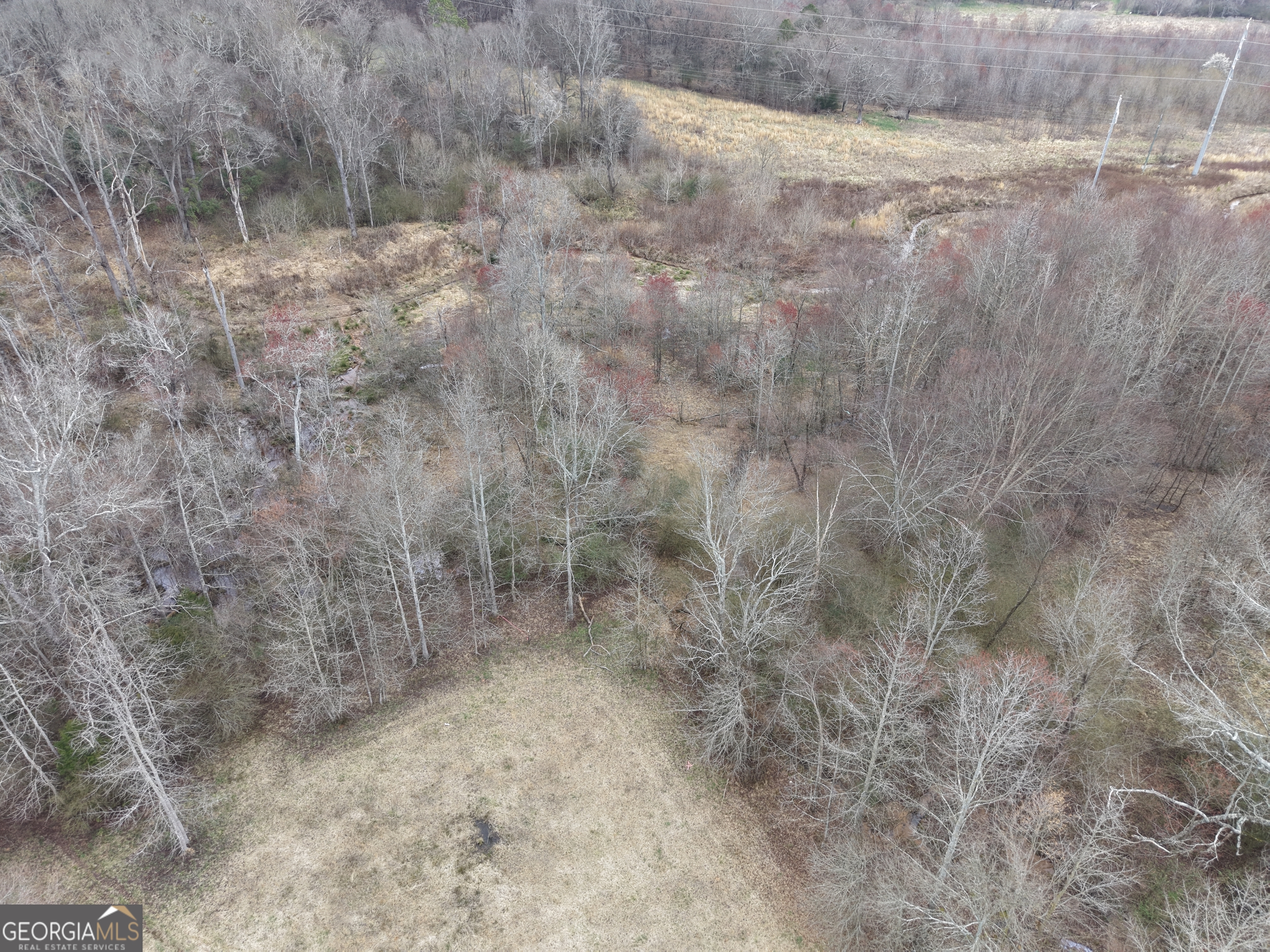 9 Red Rose Court Nicholson, GA 30565 - Photo 50 of 55 a view of a dry yard