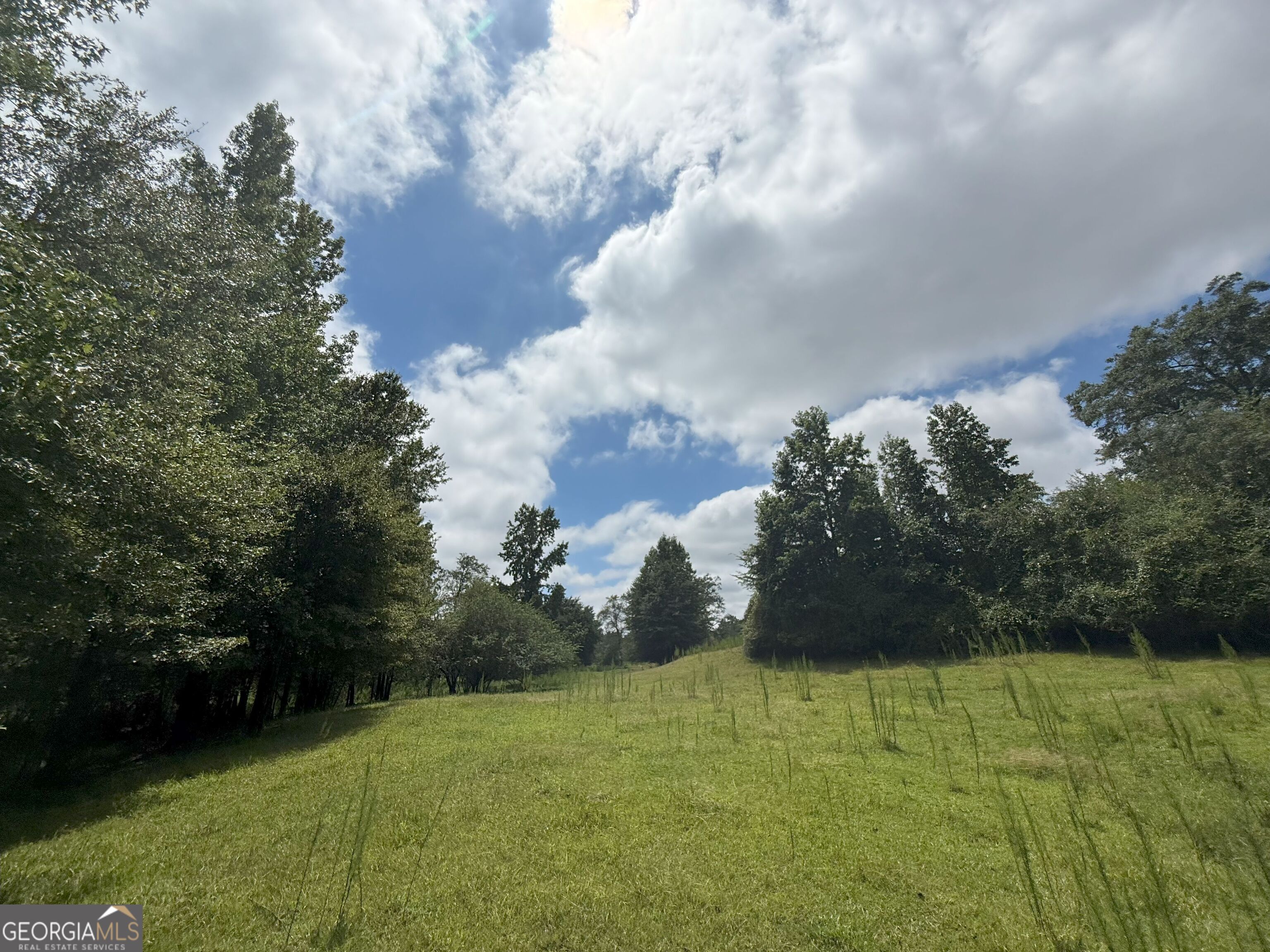 9 Red Rose Court Nicholson, GA 30565 - Photo 9 of 55