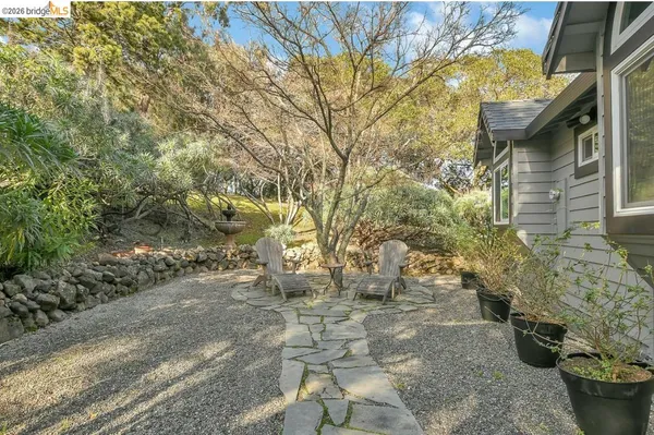 a view of a house with large windows and a tree