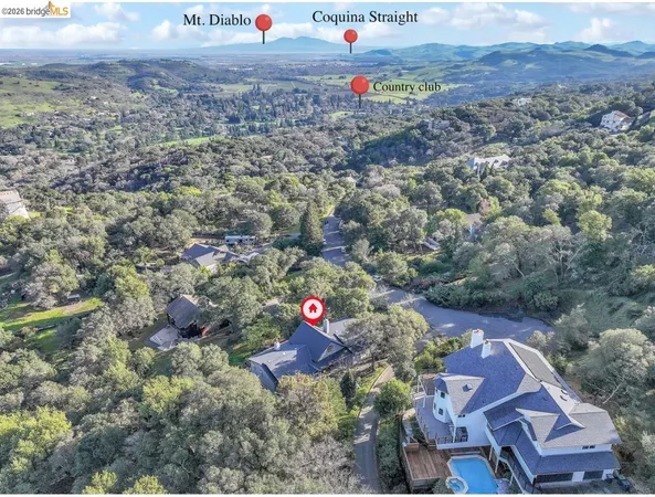 a view of a garden with plants and a bench