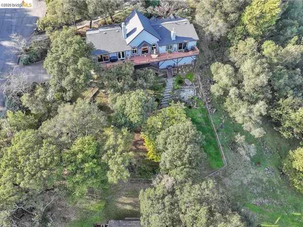 a view of a mountain in the distance in a field