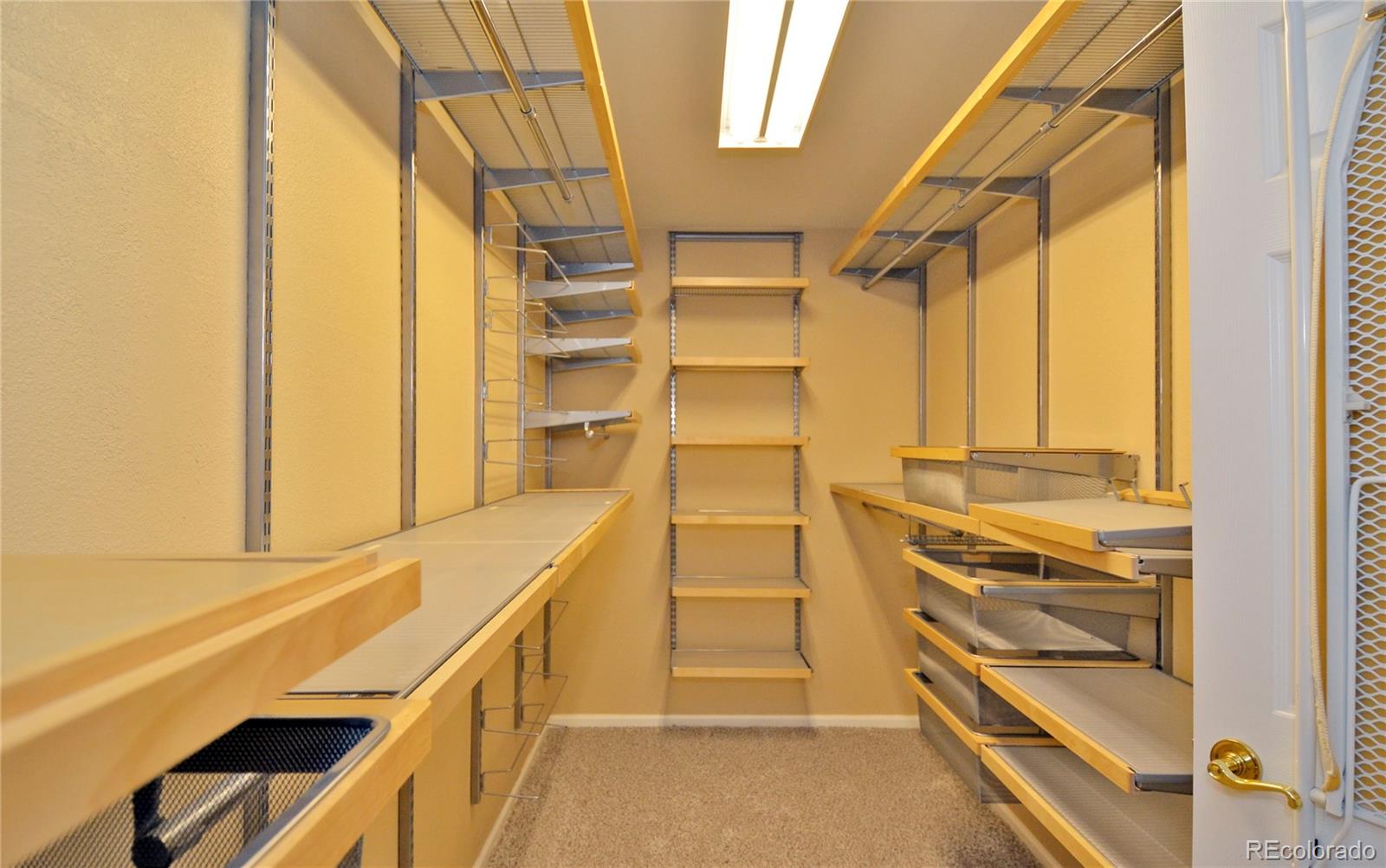10699 Wynspire Way Highlands Ranch, CO 80130 - Photo 29 of 40 a view of walk in closet with empty racks