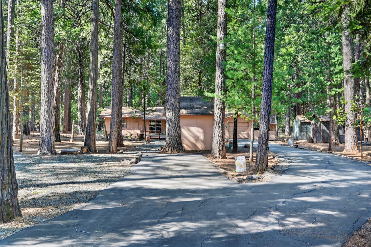 20191 Kit Court Volcano, CA 95689 - Photo 4 of 54 a view of street along with trees