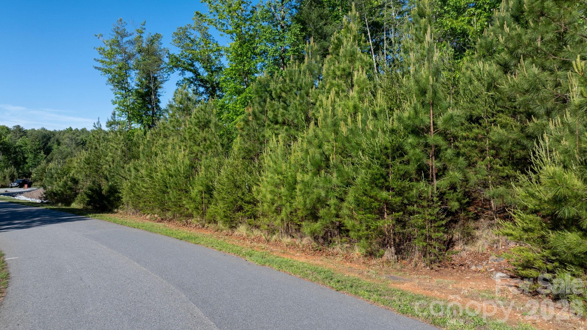 3030 Channel View Cove Morganton, NC 28655 - Photo 7 of 25