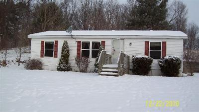 1764 East State Road Hastings, MI 49058 - Photo 1 of 9 Primary Photo