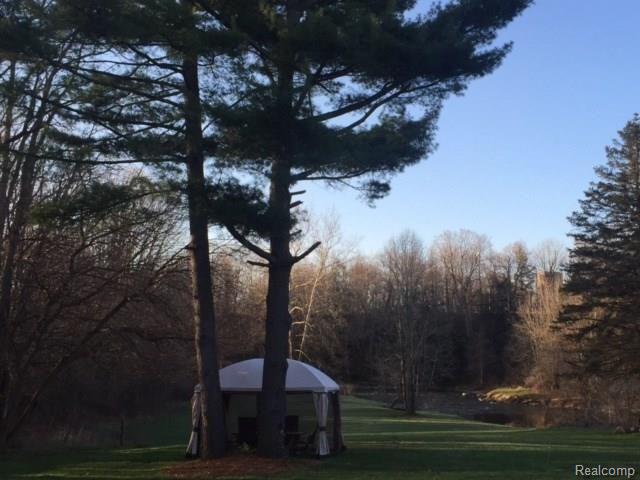 4825 Mill Creek Road Avoca, MI 48006 - Photo 28 of 37 This is a view of the yard.
