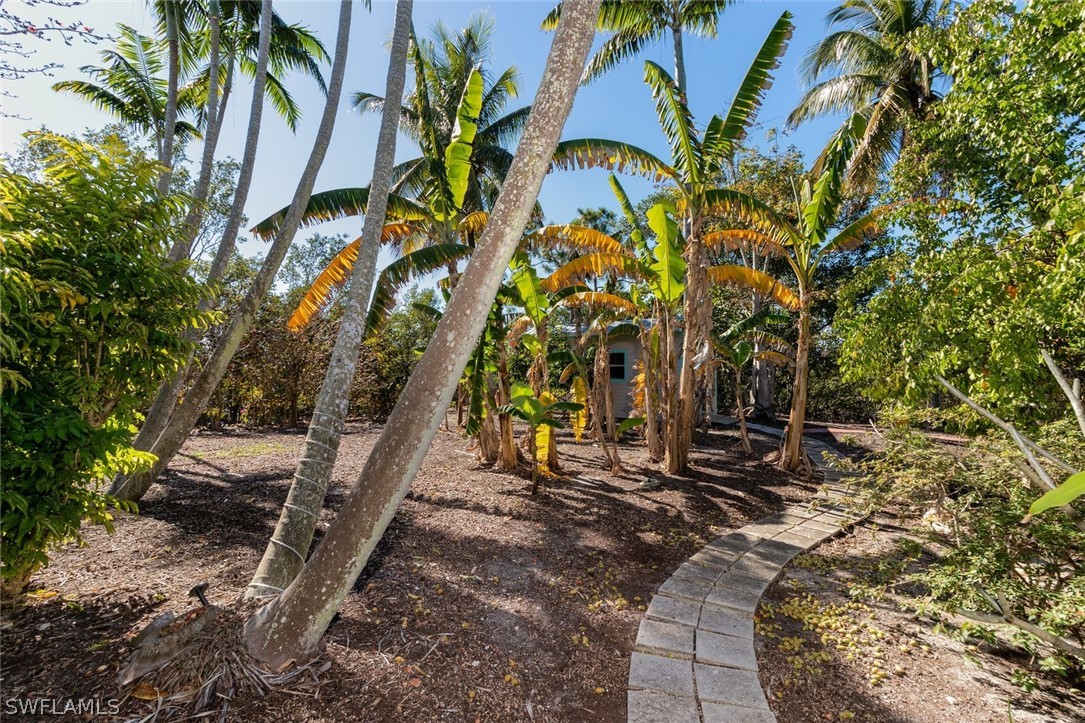 7231 Pineland Road Bokeelia, FL 33922 - Photo 16 of 24 a view of yard