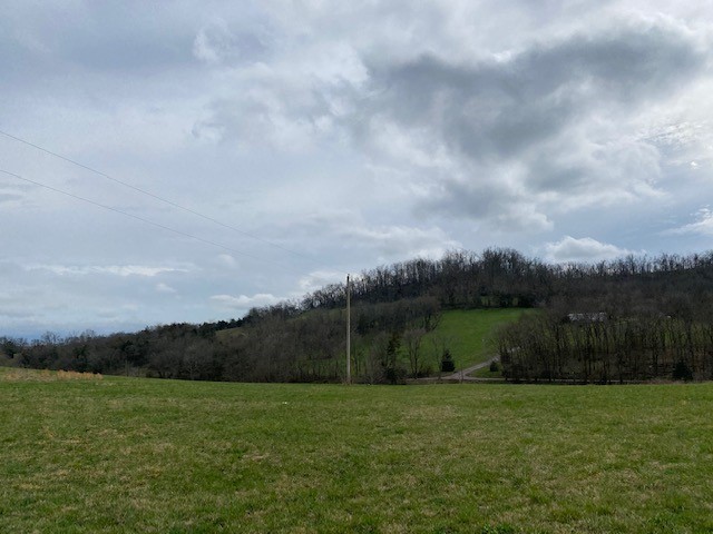 1 Puncheon Camp Road Bell Buckle, TN 37020 - Photo 8 of 25 Gallery Image 8