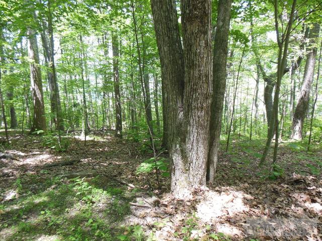 Lot #11 Mitchell Mountain Road Sparta, NC 28675 - Photo 1 of 3 Gallery Image 1