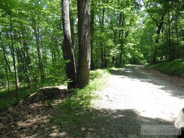 Lot #11 Mitchell Mountain Road Sparta, NC 28675 - Photo 2 of 3 Gallery Image 2