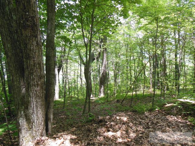 Lot #11 Mitchell Mountain Road Sparta, NC 28675 - Photo 3 of 3 Gallery Image 3