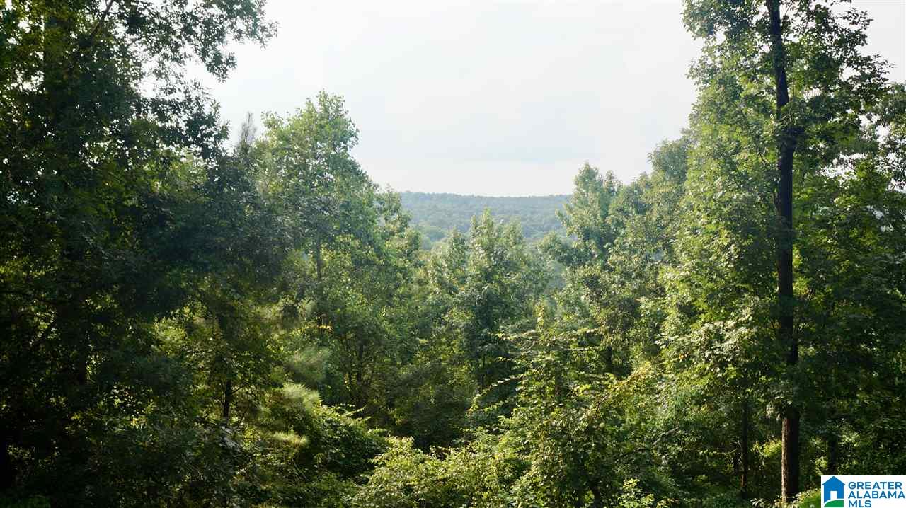 365 Signal Trail Pelham, AL 35124 - Photo 8 of 33