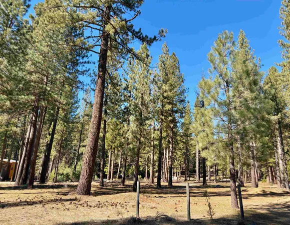 $185,000 | 329 Clio State 40A Road, Clio, CA 96106