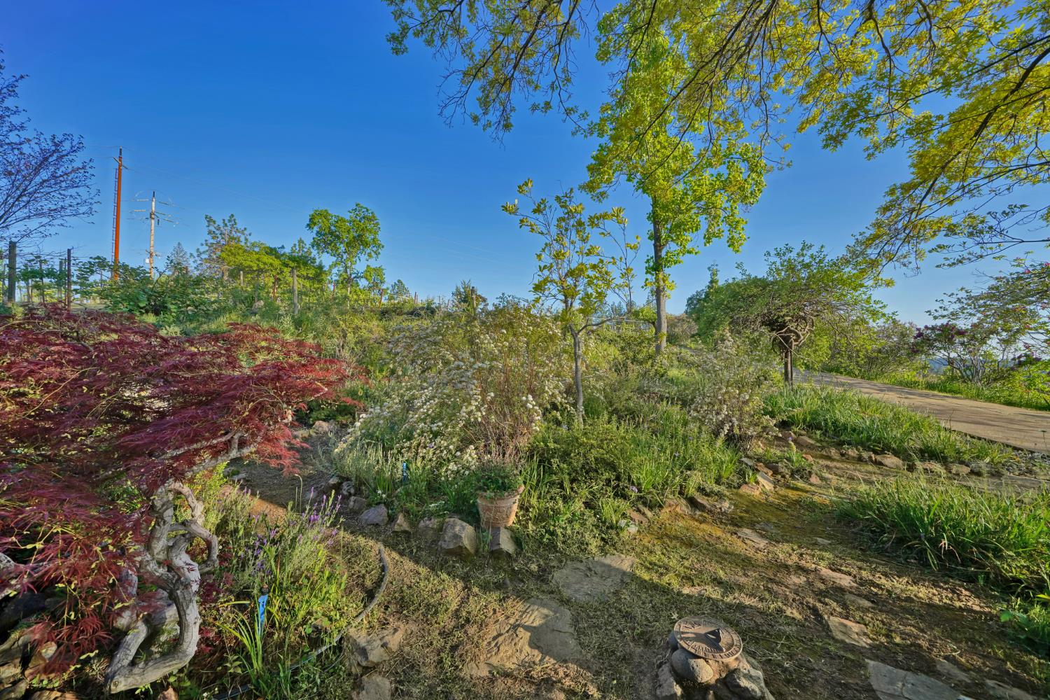 2399 Kingsgate Road Placerville, CA 95667 - Photo 73 of 89