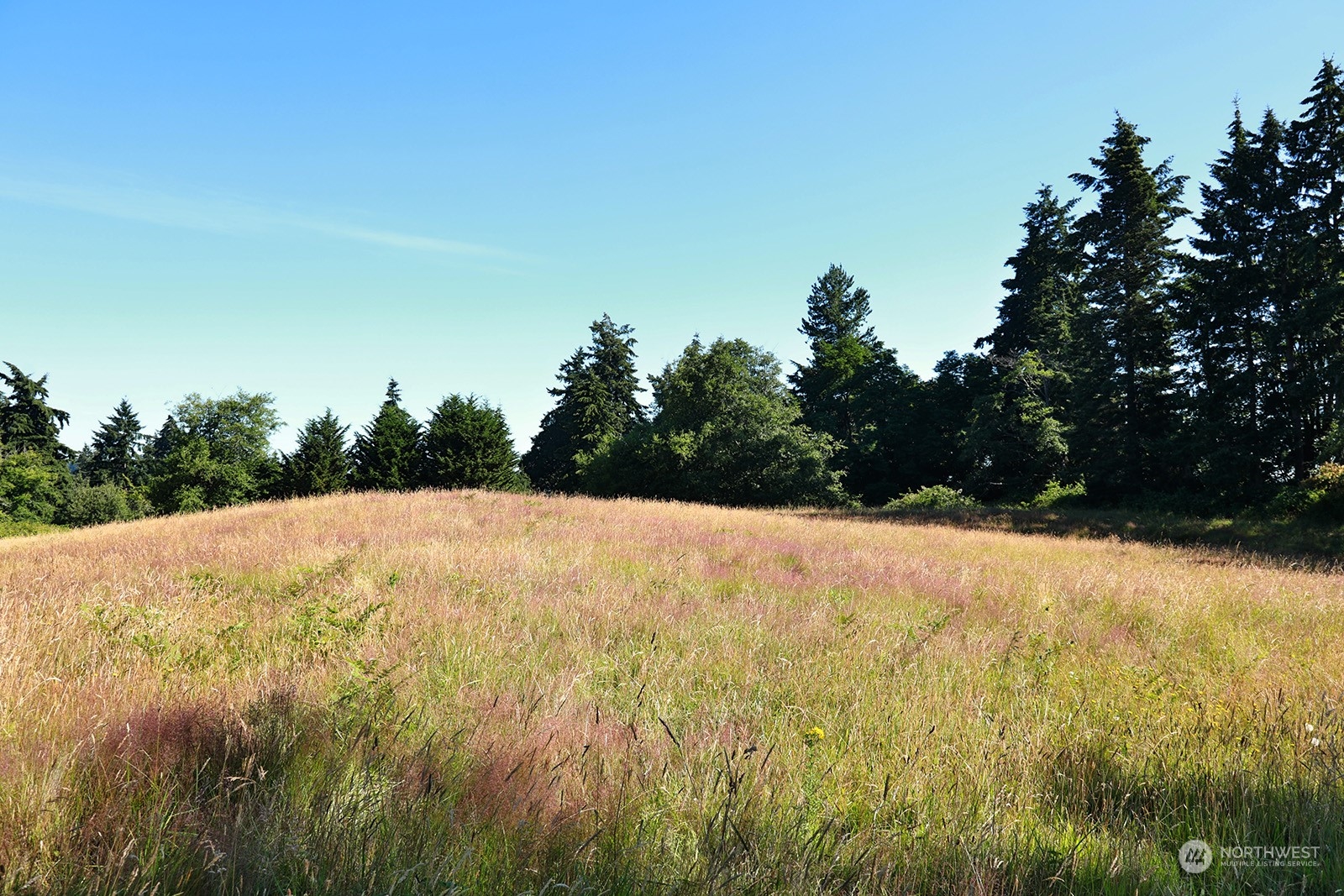 6949 Humphrey Road Clinton, WA 98236 - Photo 34 of 40 Gallery Image 34