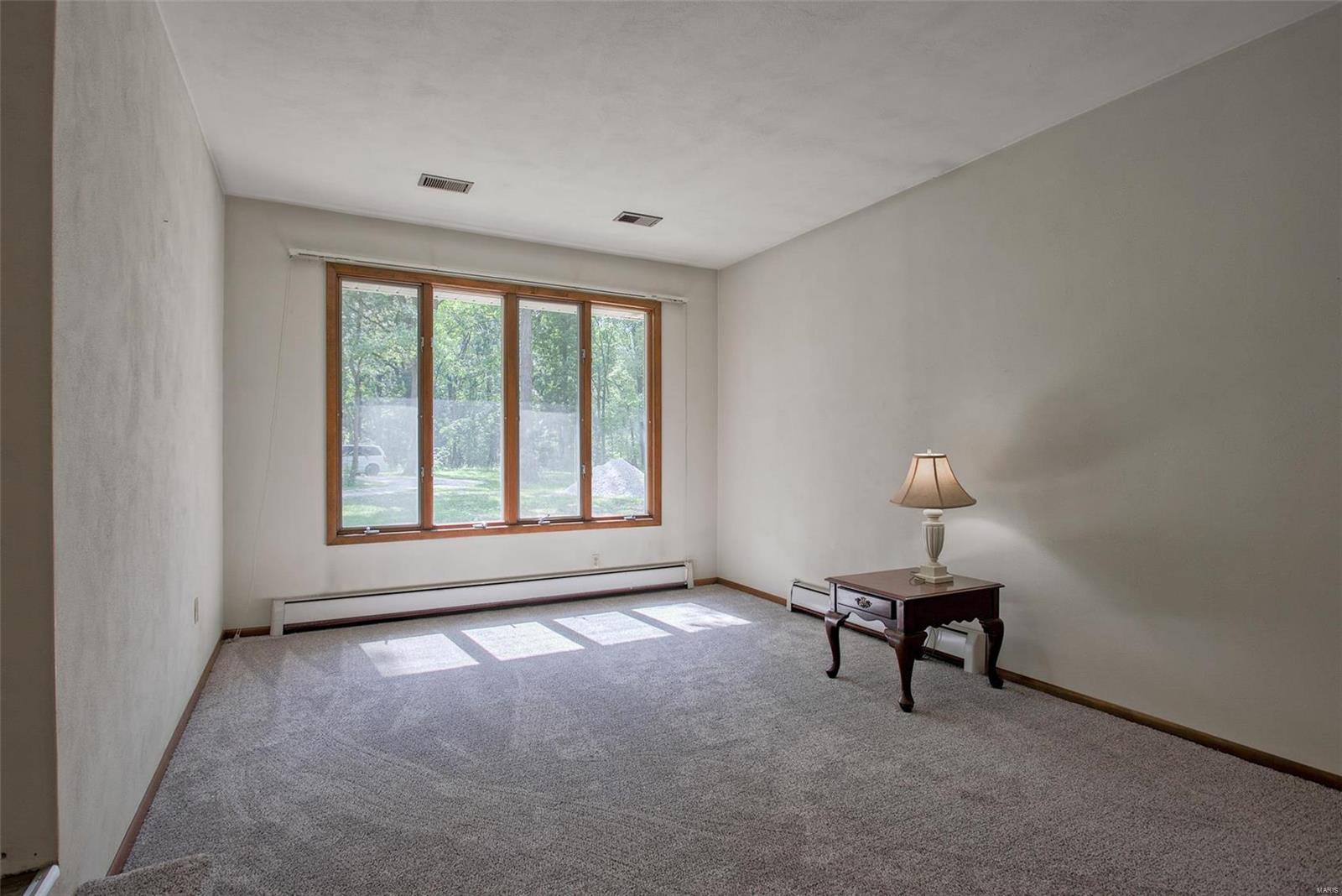 8572 Schien Road Worden, IL 62097 - Photo 5 of 64