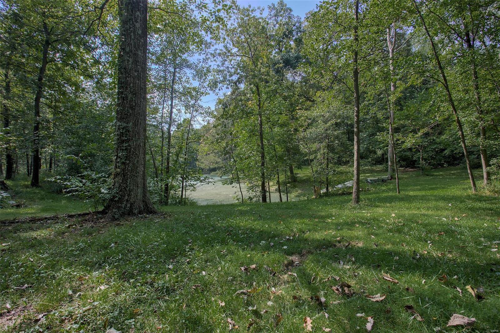 8572 Schien Road Worden, IL 62097 - Photo 46 of 64