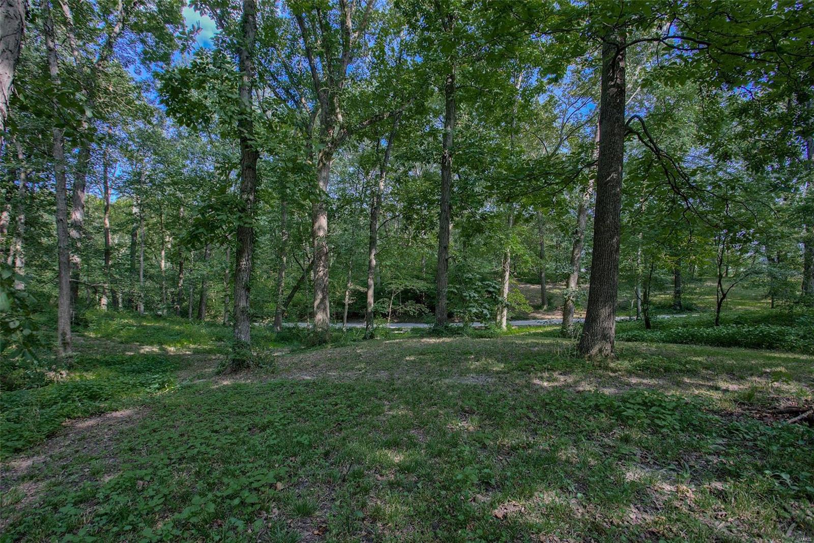 8572 Schien Road Worden, IL 62097 - Photo 50 of 64