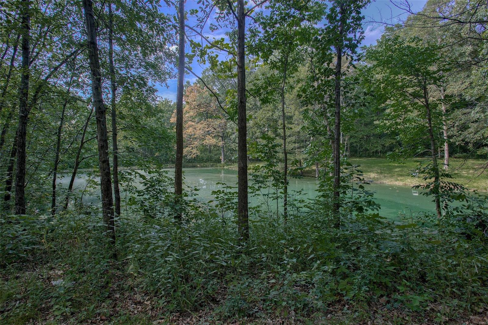 8572 Schien Road Worden, IL 62097 - Photo 9 of 64