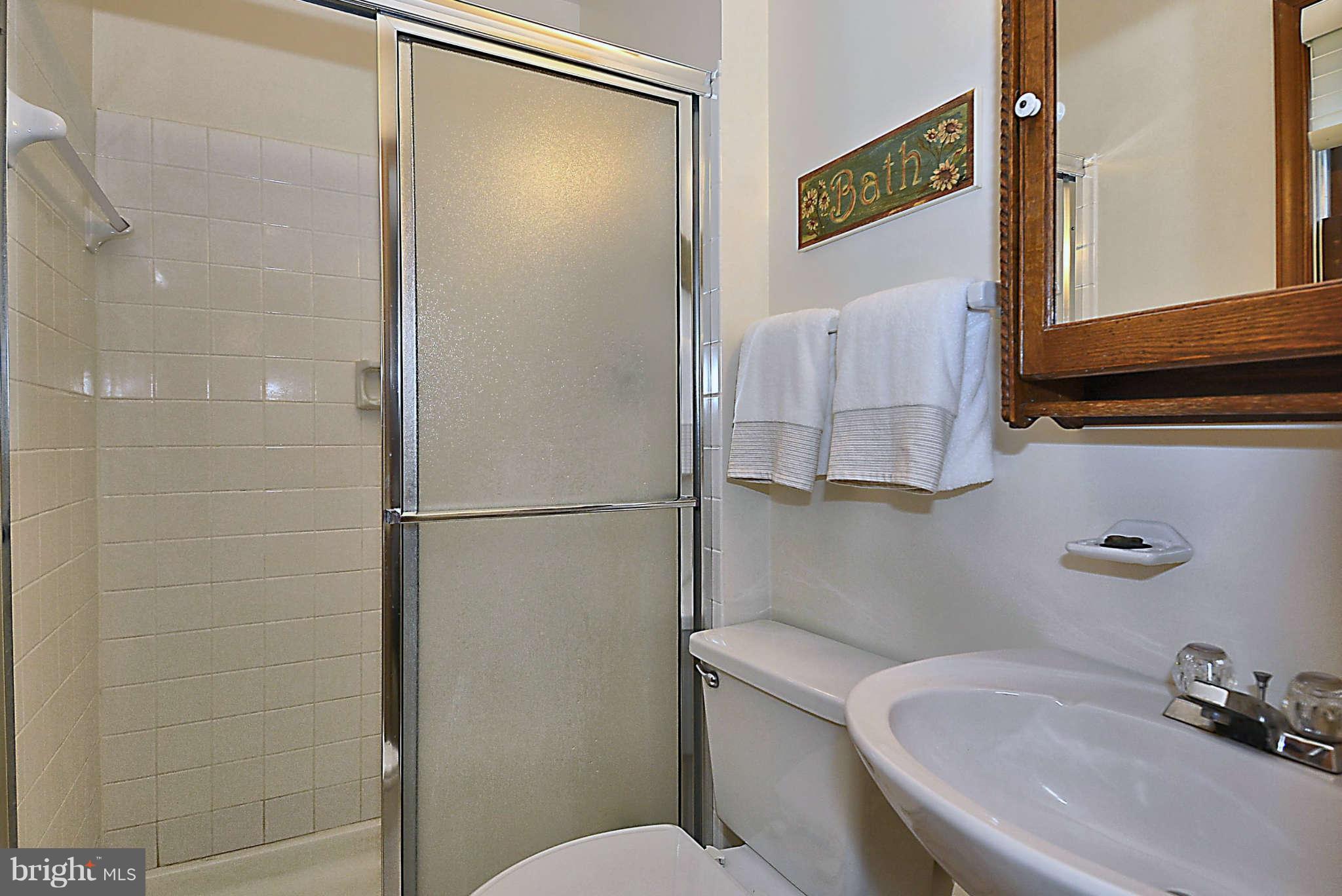 8229 Hilton Road Gaithersburg, MD 20882 - Photo 17 of 30 Private Master Bath