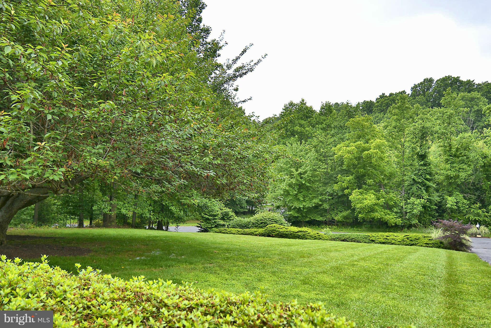 8229 Hilton Road Gaithersburg, MD 20882 - Photo 30 of 30 Verdant View from Front Porch