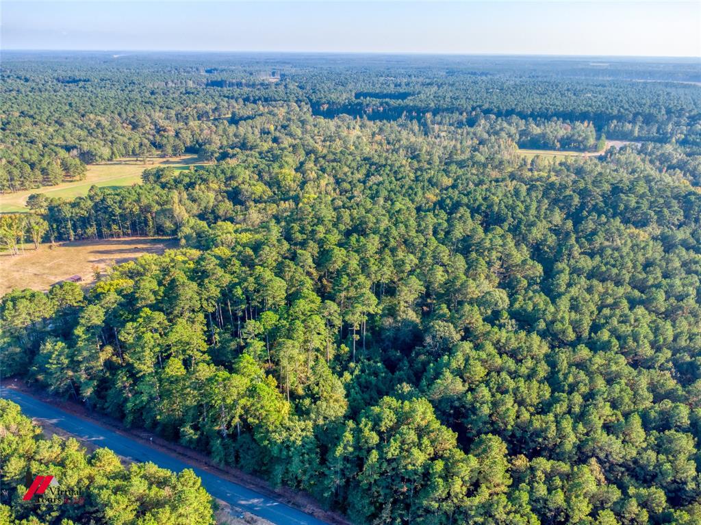0 Persley Road Stonewall, LA 71078 - Photo 12 of 26 a view of a city