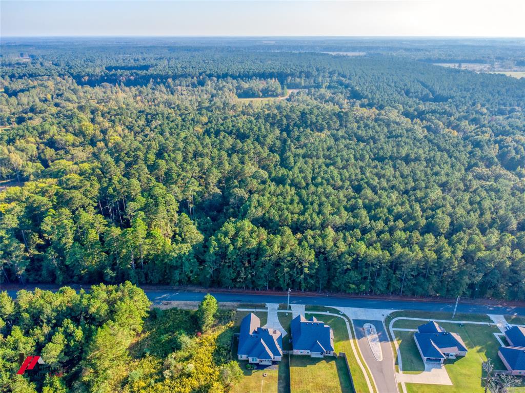 0 Persley Road Stonewall, LA 71078 - Photo 13 of 26 a view of yard with outdoor seating