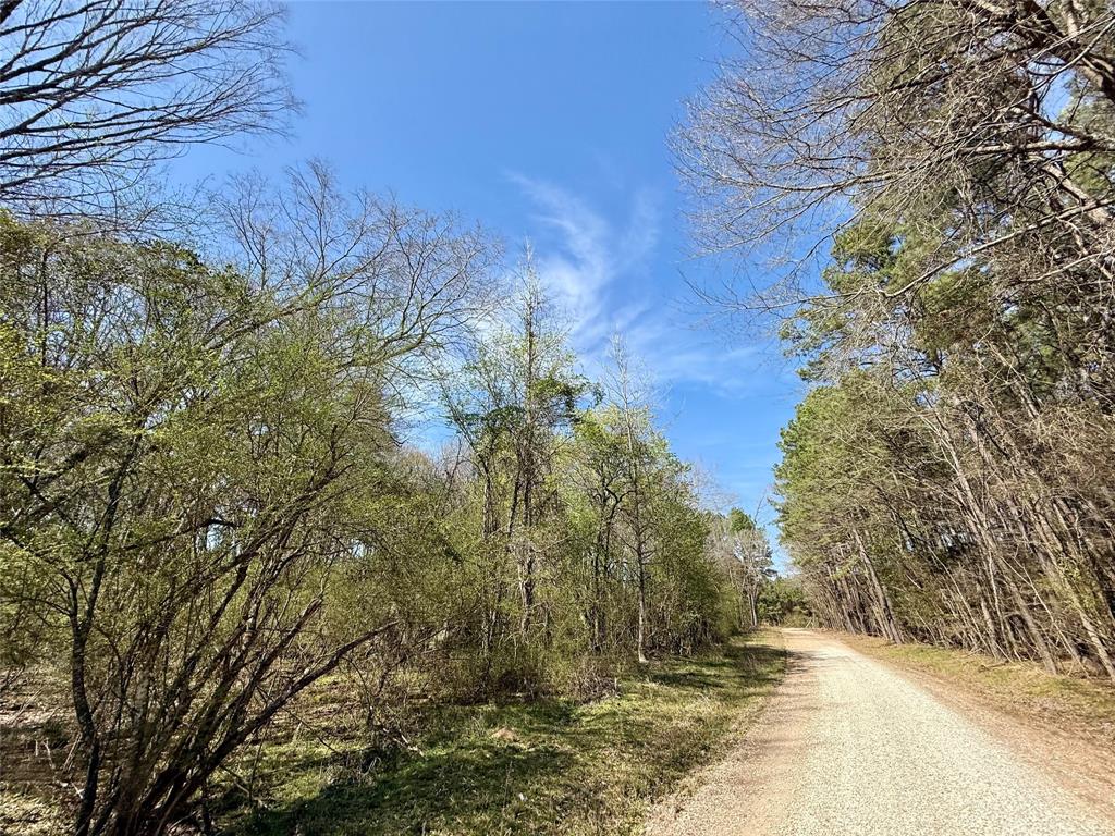 0 Persley Road Stonewall, LA 71078 - Photo 18 of 26 a view of mountain view