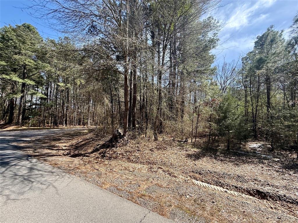 0 Persley Road Stonewall, LA 71078 - Photo 20 of 26 a view of a forest with trees