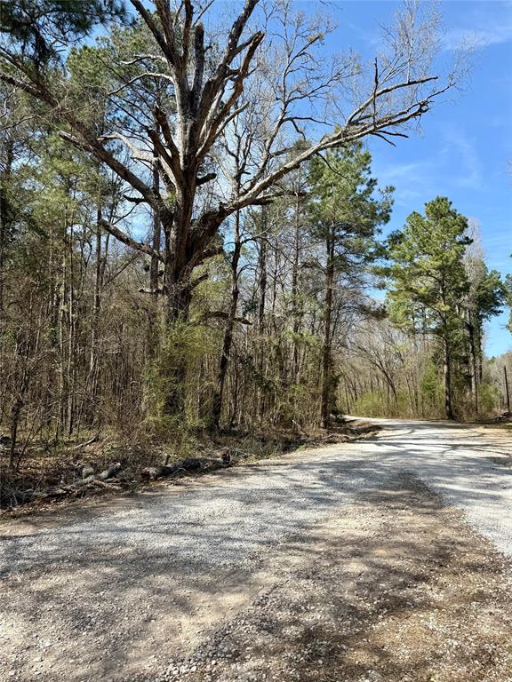 0 Persley Road Stonewall, LA 71078 - Photo 22 of 26 a view of a house with a yard