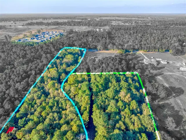 a view of a yard with plants