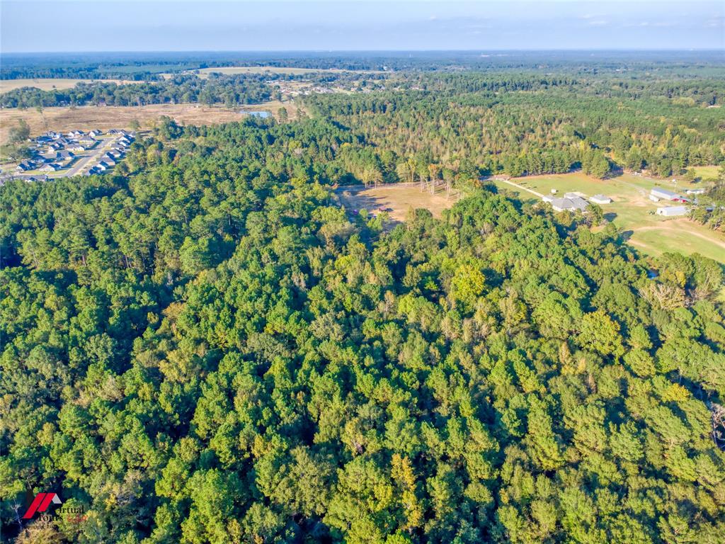 0 Persley Road Stonewall, LA 71078 - Photo 6 of 26 a view of a lush green field with lots of plants in it