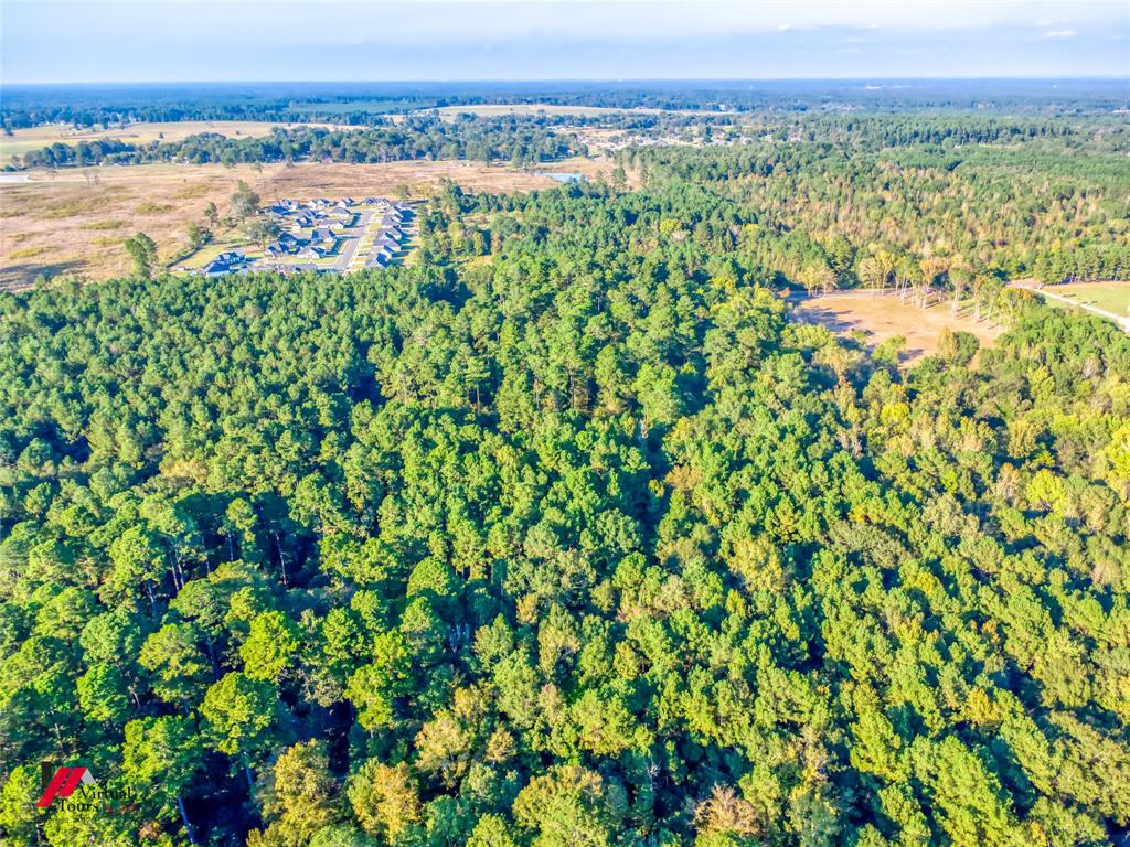 0 Persley Road Stonewall, LA 71078 - Photo 7 of 26 a view of lake with mountain