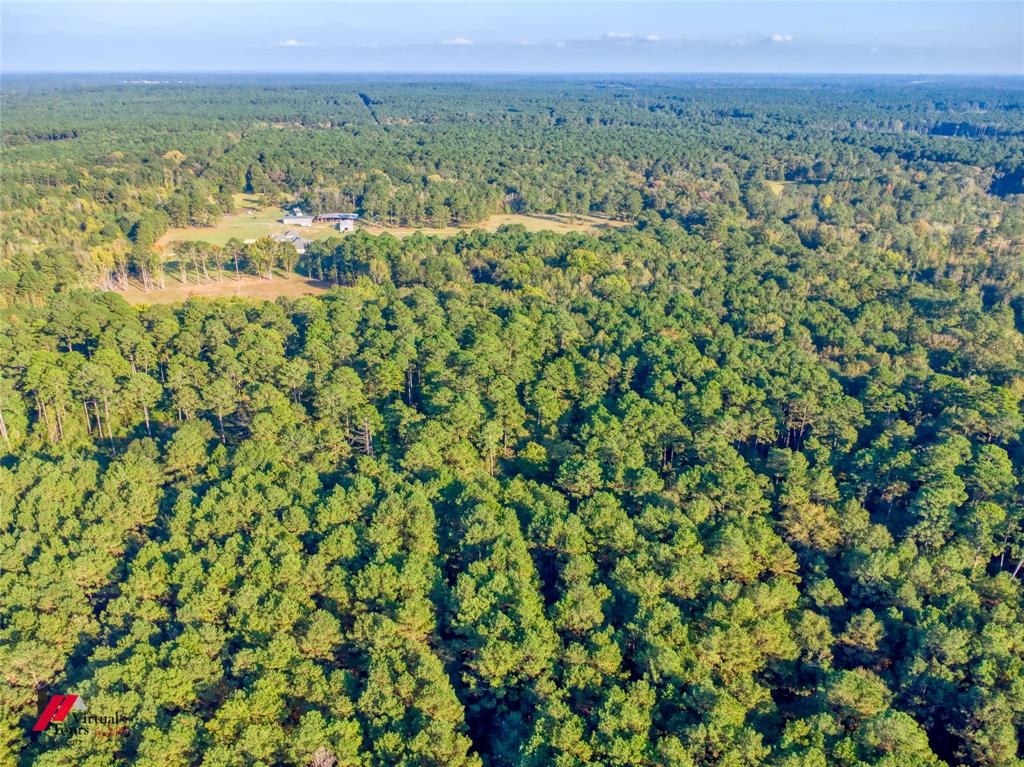 0 Persley Road Stonewall, LA 71078 - Photo 10 of 26 a view of a city with lush green forest