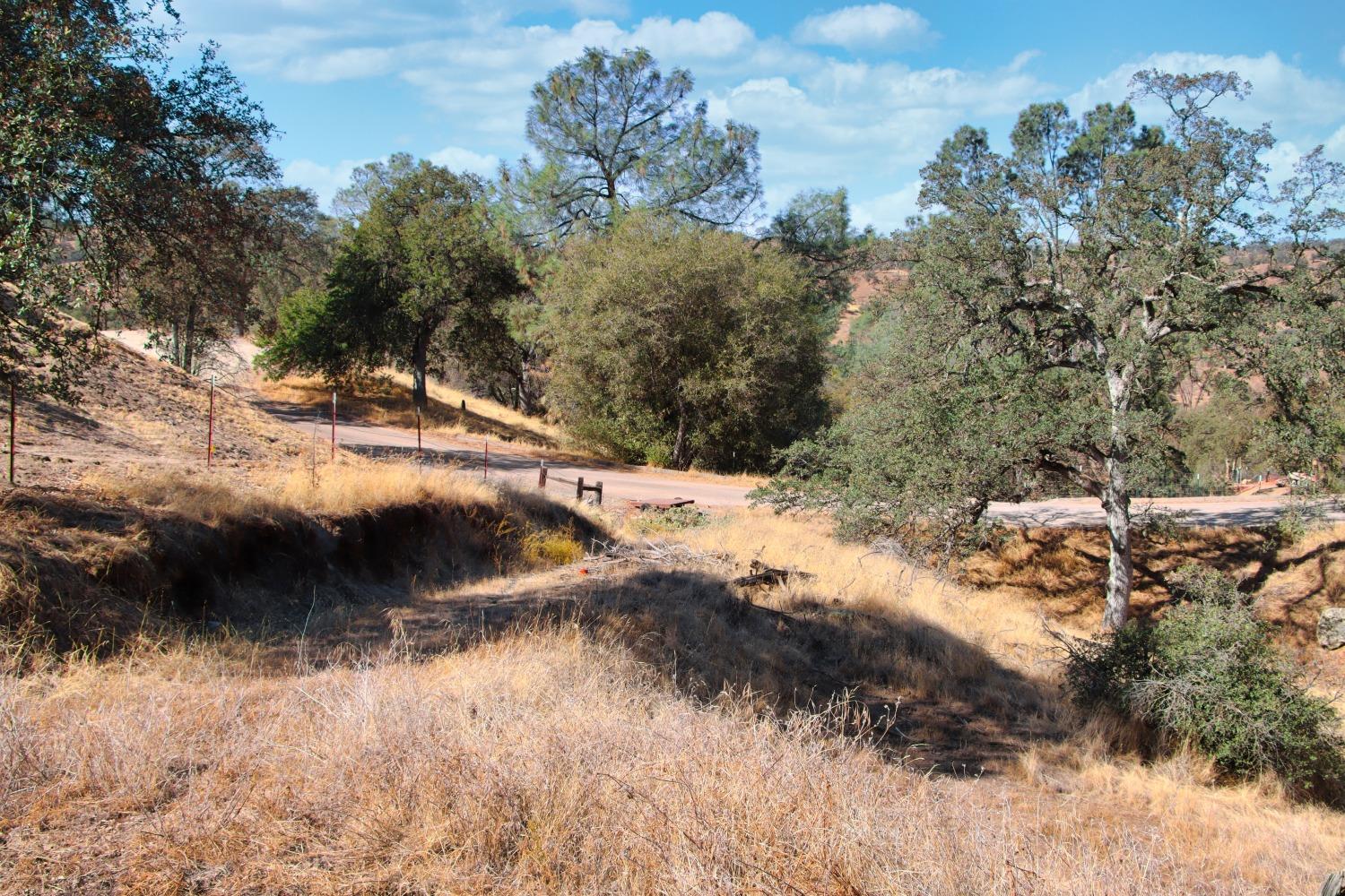 1 Shannon Road Madera, CA 93636 - Photo 3 of 15 a view of water with a yard