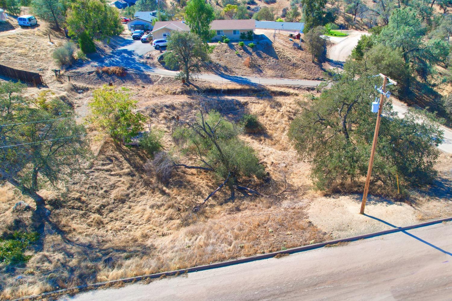 1 Shannon Road Madera, CA 93636 - Photo 9 of 15 a view of a yard and a tree