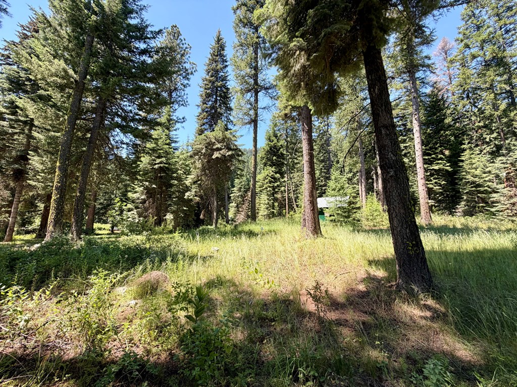 1610 Bear Trail Loop, Unit 3A16 Cascade, ID 83611 - Photo 6 of 10 Nicely Wooded